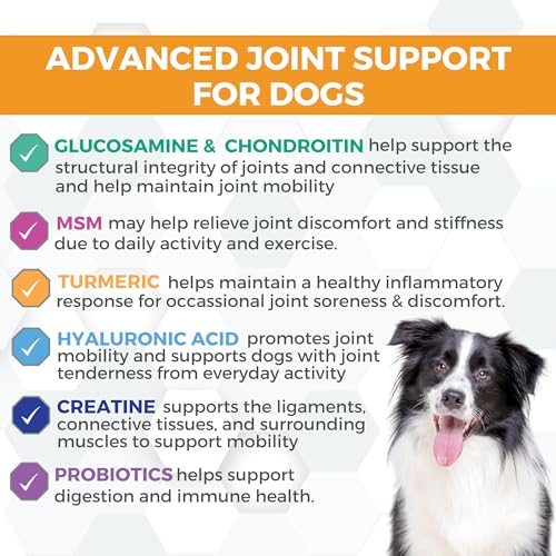 Progility Hip & Joint Glucosamine Supplement for Dogs (90 count)