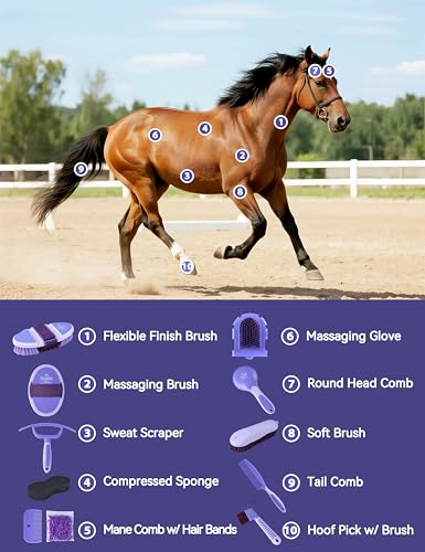 Horse Grooming Kit (Sugar Taro)