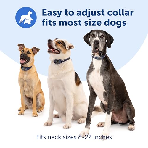 Core Digital Dog Bark Collar (Small, Medium, Large)
