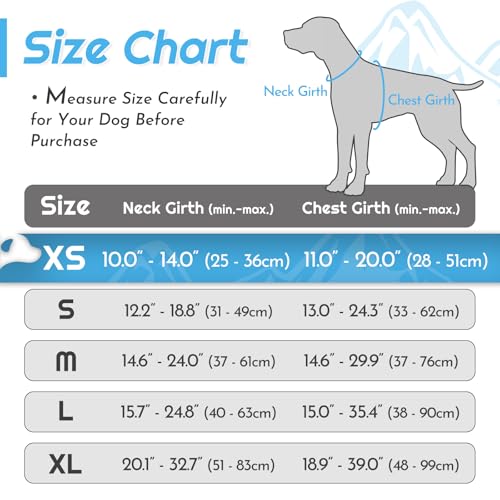 Dog Harness for Small Dogs (X-Small / Pink & Blue)