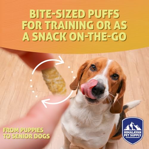 Barkeetos Crunchy Cheesy Dog Snacks (3 Ounce (Pack of 4))