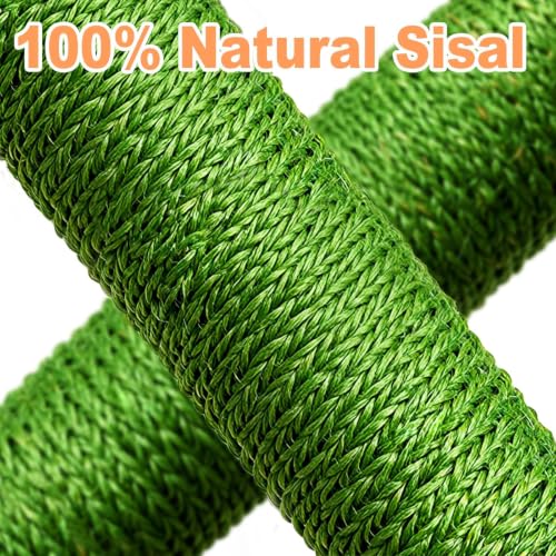 Sunflower Interactive Cat Toys for Indoor Cats (Green / Medium)