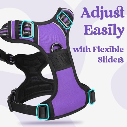 Dog Harness Medium Sized (Medium / Purple)