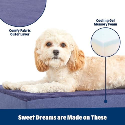 Orthopedic Dog Bed (Navy / Small)