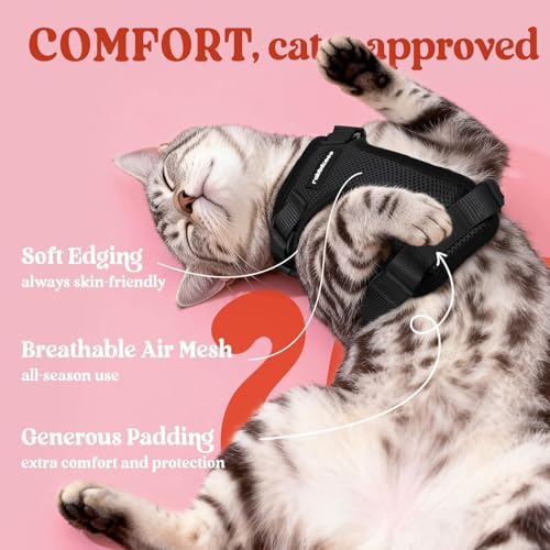 Cat Harness and Leash Set (M / Black)