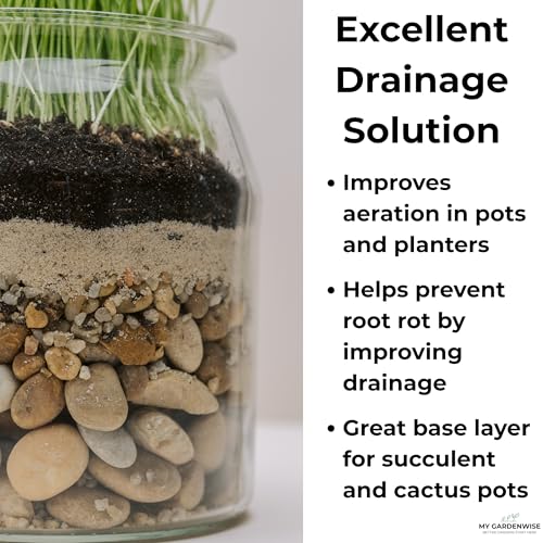 Fine Sand for Plants (Horticultural Fine Sand / 1 qt)