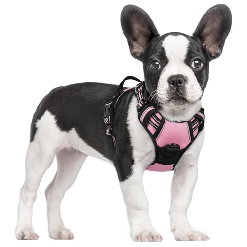 Dog Harness No Pull for Small Dogs with 2 Leash Clips (Small / Pink)