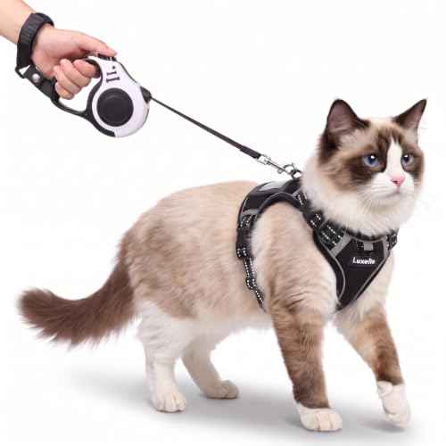 Escape Proof Cat Harness and Leash Set (Black / XS)