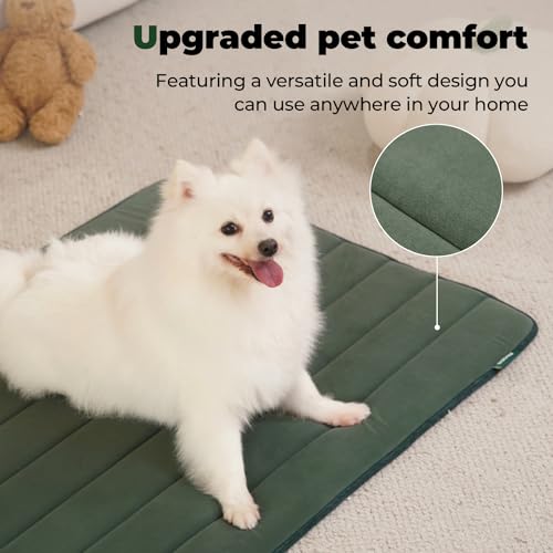 Dog Crate Pad (42.0"L x 28.0"W x 0.8"Th / Green, 1 Pack)