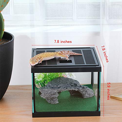 Glass Lizard Tank (L7.8 x W7.8 x H5.9 inches / Black)