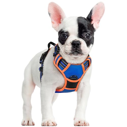Dog Harness No Pull for Small Dogs with 2 Leash Clips (Small / Blue & Orange)