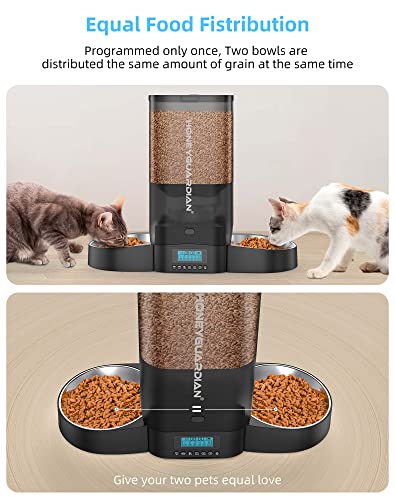 5L Automatic Cat Feeder for Two Cats