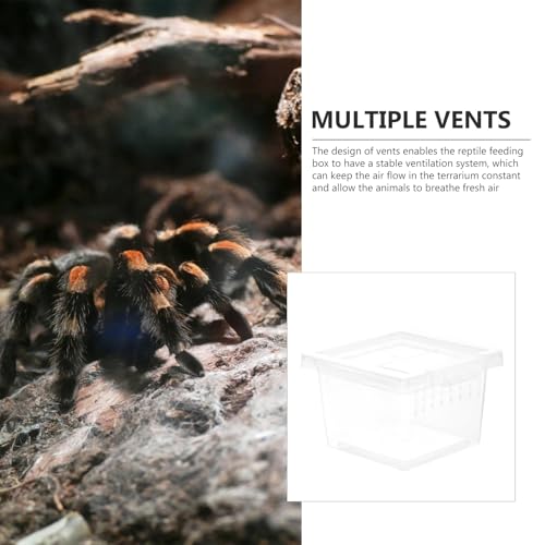 Clear Plastic Insect Feeding Box Small Critter Keeper Portable Mini Terrarium Cage 2.76X2.76X1.77In Ideal for Reptiles Amphibians and Small Animals