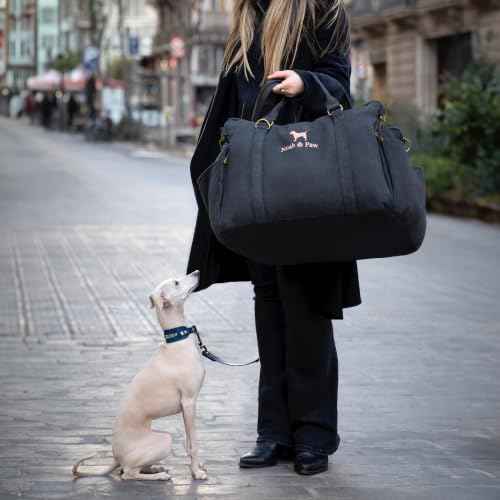 Dog Car Seat Booster for Small Dogs & Cats Under 25lb (Charcoal - Canvas / Medium)