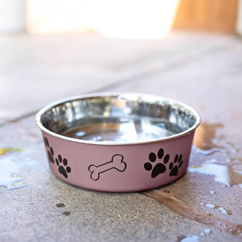 Bella Dog Bowls (Grape / Medium (20-35lbs))