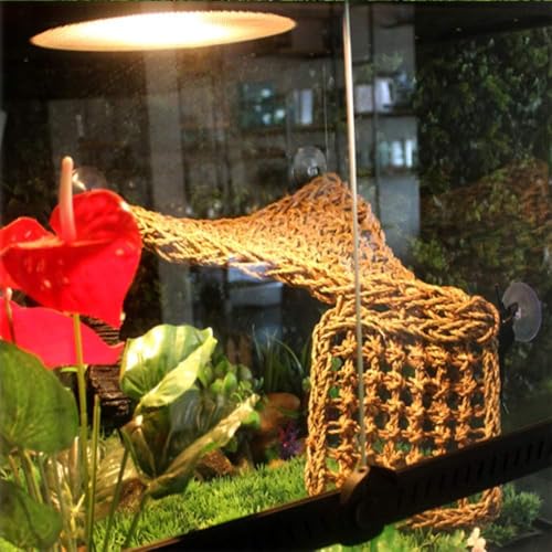 Bearded Dragon Hammock