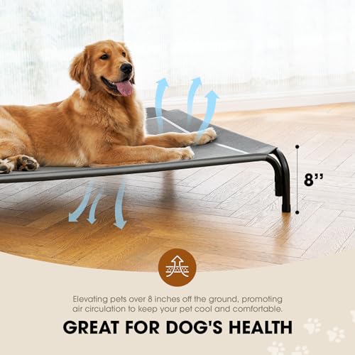Outdoor Elevated Dog Bed for Medium Sized Dogs (M(35.50"x25.60"x8.00") / Grey)