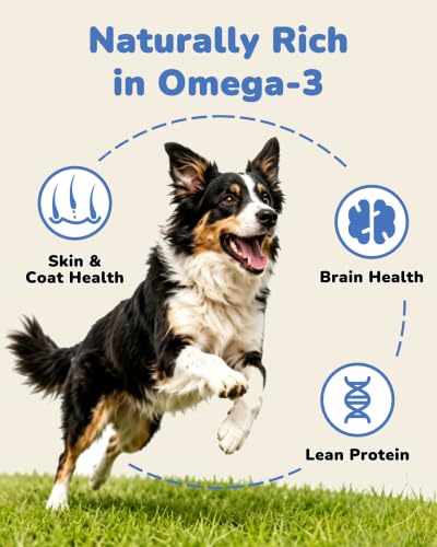 Freeze Dried Minnows Dog Treats
