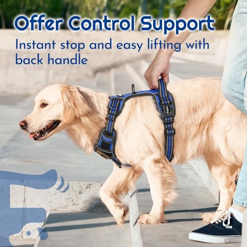 Dog Harness No Pull for Small Dogs (Small / Blue & Black)