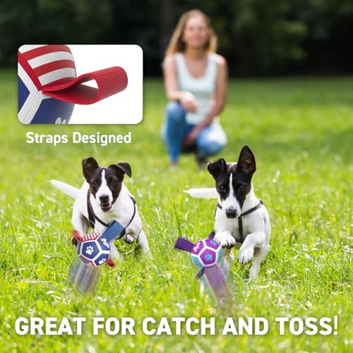 2 Pack Small Dog Toys (Soccer Pack / 2 Pack (3.5 Inch Balls))