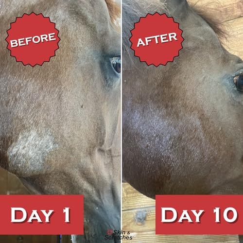 Show Out Skin & Scratches 4 oz Concentrate (32 fl oz)