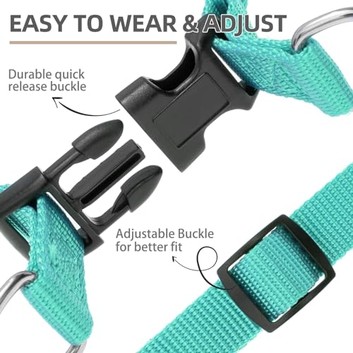 No Pull Dog Harness Large Sized Step (Light Green / Large)