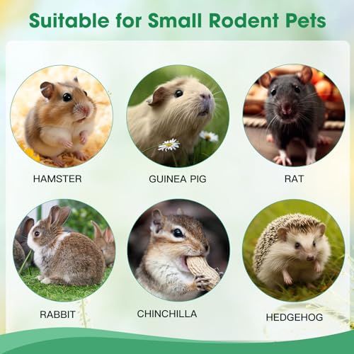 250g Natural Apple Wood Chew Sticks for Rabbits