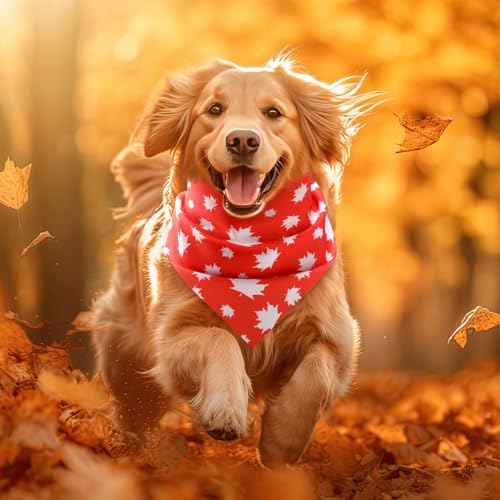 50 Pcs Thanksgiving Fall Dog Bandanas Bulk for Dogs Autumn Soft Bibs Adjustable Triangle Pet Bandana for Small Medium Large Costume (Leaves Pattern / 25.6 x 17.7 x 17.7 Inch)