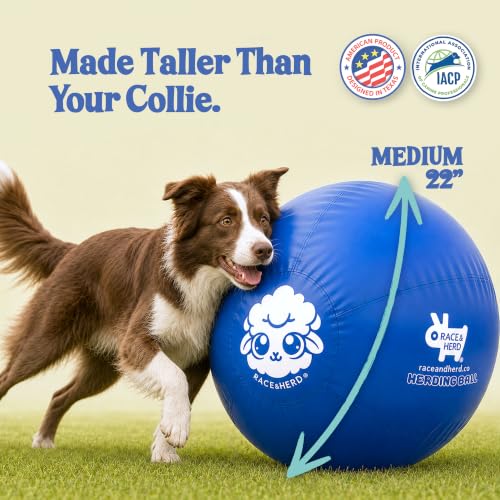 22" Original Herding Ball for Dogs (Ocean - M 22" Herding Ball Set / M 22")