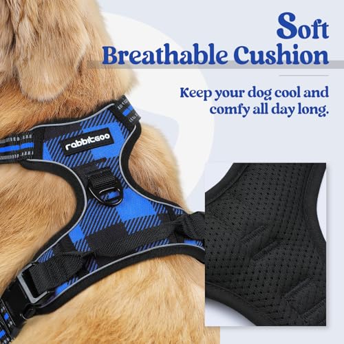 Dog Harness No Pull for Large Dogs with 2 Leash Clips (Large / Blue Plaid)