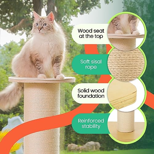 50" Tall Cat Scratching Post