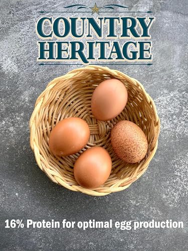 Country Heritage 50LB Chicken Layer Crumble 16% Protein (Layer Crumble / 50 Pound (Pack of 1))
