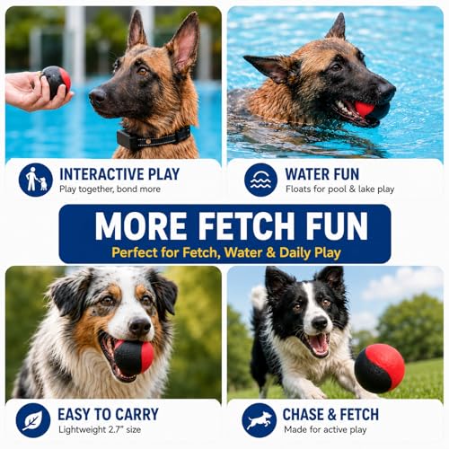 Squeaky Balls for Dogs (RedBlack)