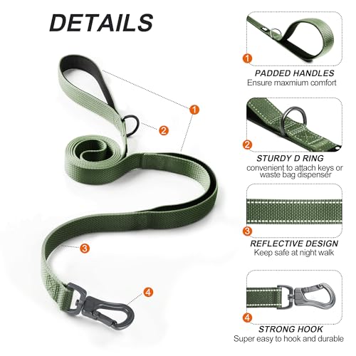 6FT 1IN Heavy Duty Dog Leash for Large Dogs with 2 Padded Handles (Green / 1 in x 6 ft)