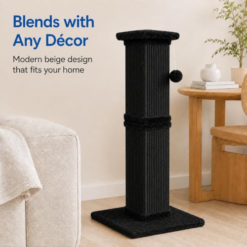 Cat Scratching Post for Indoor Cats (Pure Black)