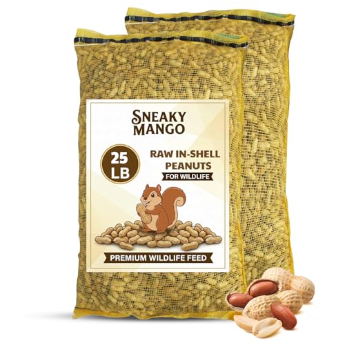 Raw Peanuts in Shell (50 Pound (Pack of 1))