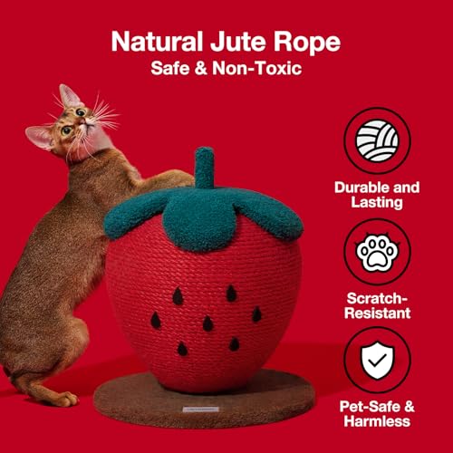Strawberry Cat Scratching Post (Strawberry Scratching Post)