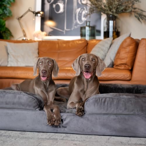 XXL Dog Bed Orthopedic Memory Cooling Foam (Grey - VE / XX-Large)