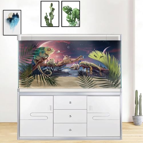 48X20IN Cosmic Spaceterrarium Background (space01 / 48X20in/120X50cm)