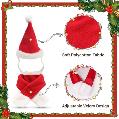 Cat Christmas Costume (Xmas Costume)