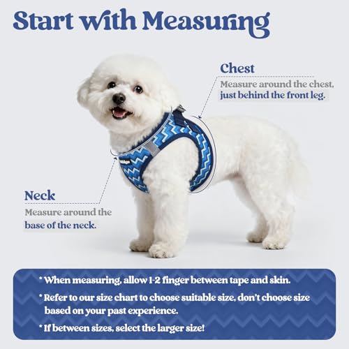 Dog Harness Medium Sized and Leash Set (Blue Zigzag / L (chest: 18.2 - 20.5"))