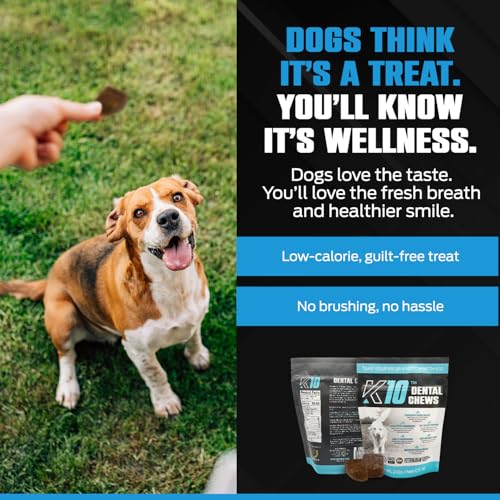 K10 Dental Chews for Dogs (Dental Chews 10 Count)