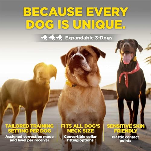 CUE Add On Black Ecollar with Safety Level Lock Boost Vibration Waterproof Rechargeable for Small Medium Large Dogs Dog Training Collar by Dogtra (CUE Receiver Only - Grey)