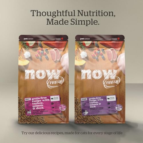 Kitten Dry Cat Food (3 Pound (Pack of 1))