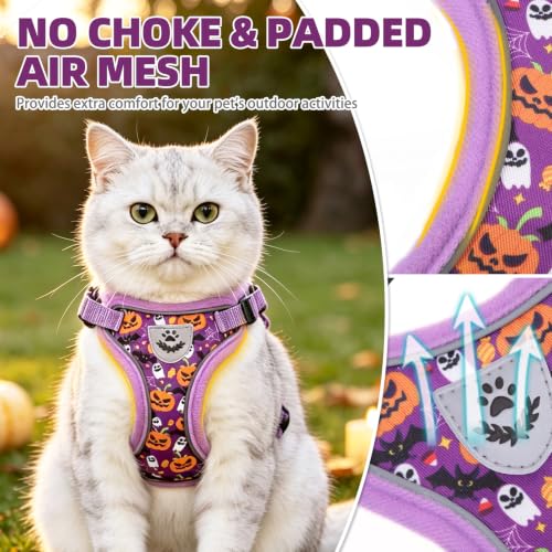 Halloween Cat Harness and Leash Set Escape Proof Reflective Cat Walking Harness Adjustable Soft Breathable Mesh Vest for Small Pets (M (NECK 11"-13.7", CHEST 16"-20") / Purple(Halloween))