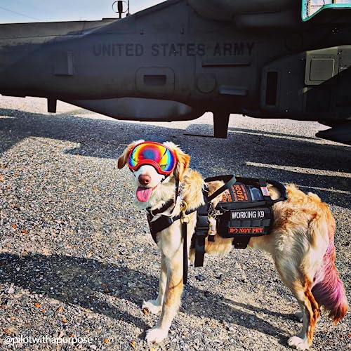 Service Dog Vest Harness (M / Black)