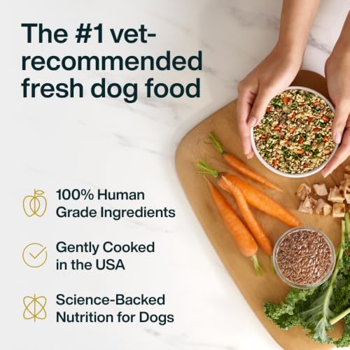 Pantry Fresh Wet Dog Food (12.5 Ounce (Pack of 12))