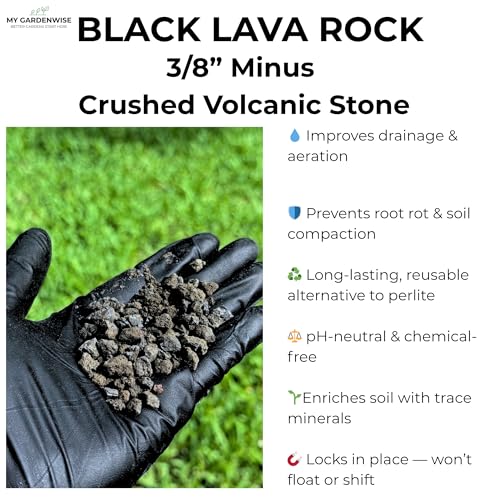 Lava Rocks for Plants (Black Lava Rocks / 3 qt)
