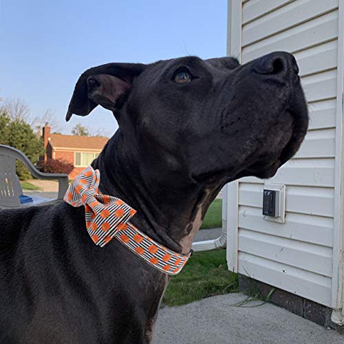 Halloween Dog Collar (Pumpkin / Medium (Pack of 1))