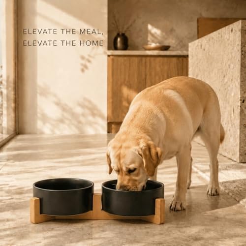 Ceramic Dog and Cat Bowl Set with Wooden Stand (7.6 cups / Black × 2)